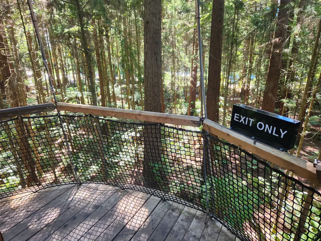 A path winding between the tall trees of the Redwoods forest near Rotorua, New Zealand