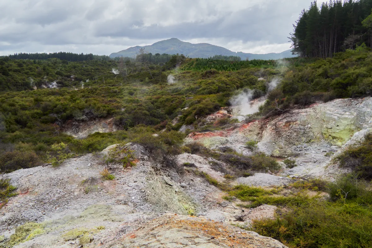 Steaming, brightly coloured geothermal pools at Waiotapu near Rotorua, New Zealand